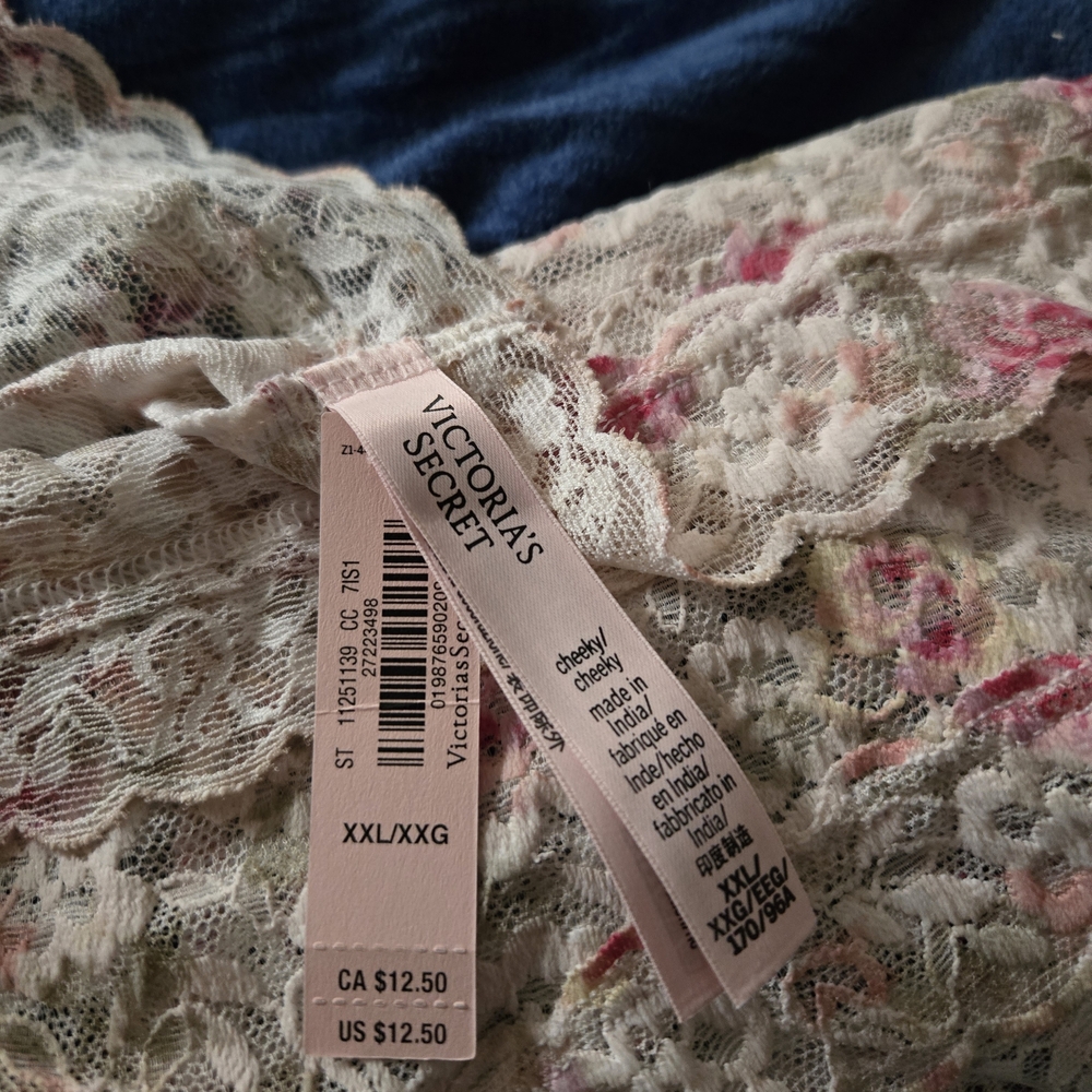Victoria's Secret Floral Lace Cheeky Panties - Cream and Pink Size XXL - Picture 3 of 3